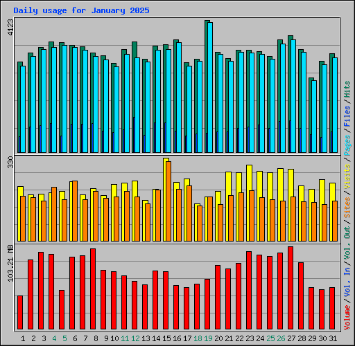 Daily usage for January 2025