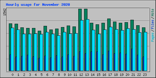 Hourly usage for November 2020