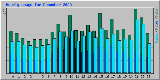 Hourly usage for December 2020