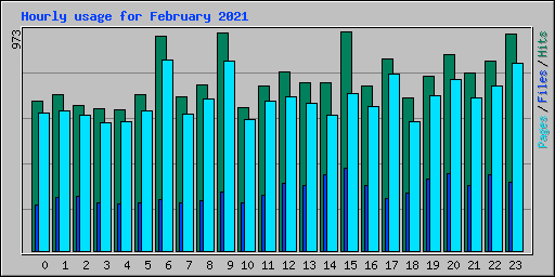Hourly usage for February 2021