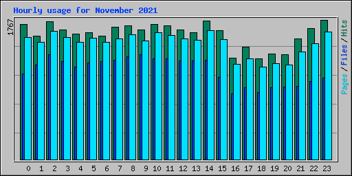 Hourly usage for November 2021