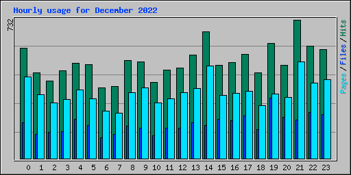 Hourly usage for December 2022
