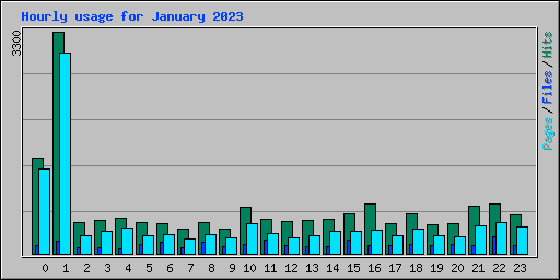 Hourly usage for January 2023
