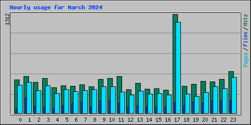 Hourly usage for March 2024