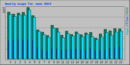 Hourly usage for June 2024