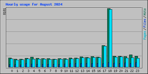 Hourly usage for August 2024