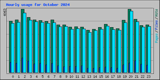 Hourly usage for October 2024
