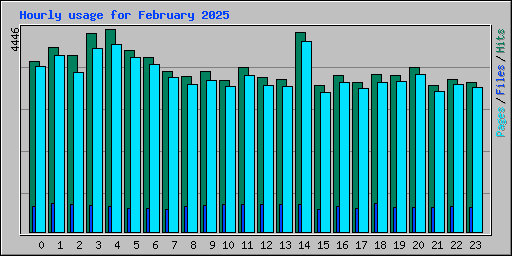 Hourly usage for February 2025