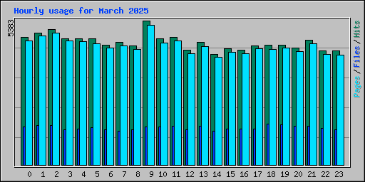 Hourly usage for March 2025