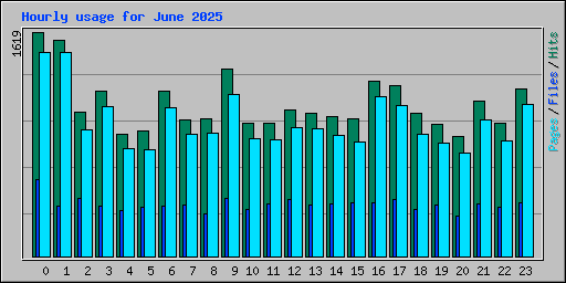 Hourly usage for June 2025