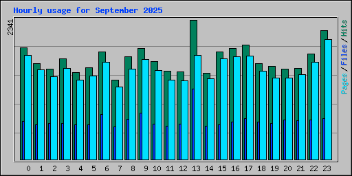 Hourly usage for September 2025