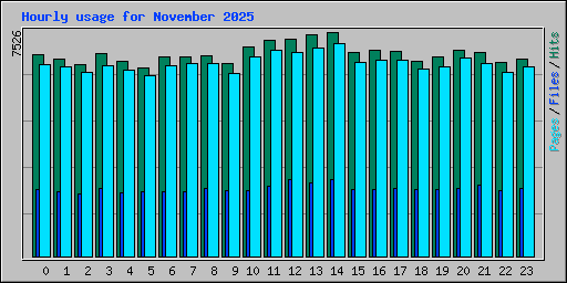 Hourly usage for November 2025
