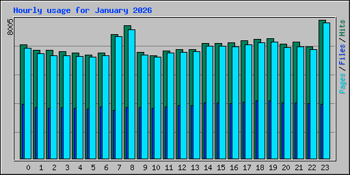 Hourly usage for January 2026
