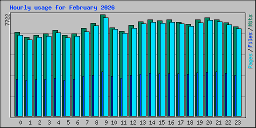 Hourly usage for February 2026