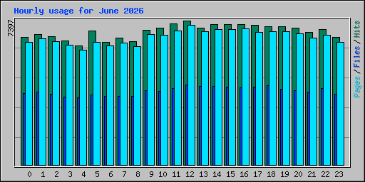 Hourly usage for June 2026