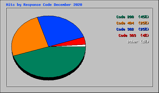 Hits by Response Code December 2020
