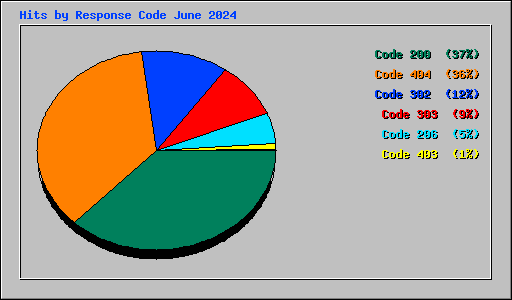 Hits by Response Code June 2024