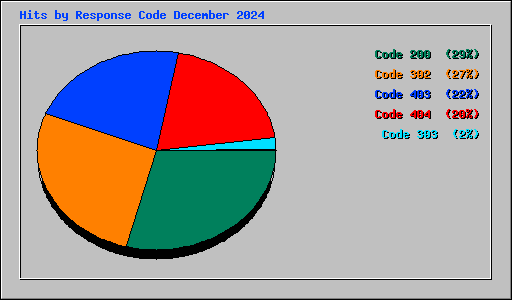 Hits by Response Code December 2024