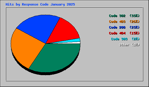 Hits by Response Code January 2025