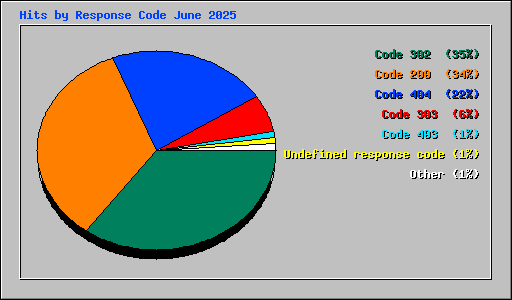 Hits by Response Code June 2025