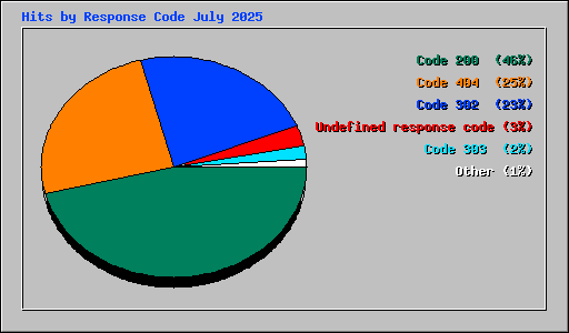 Hits by Response Code July 2025