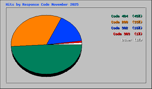 Hits by Response Code November 2025