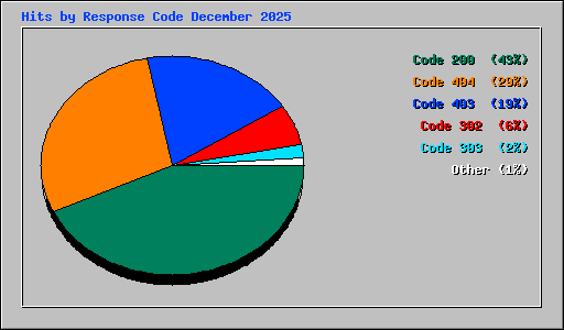 Hits by Response Code December 2025