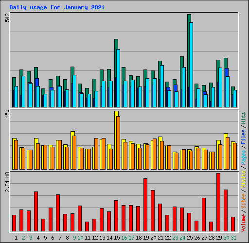 Daily usage for January 2021