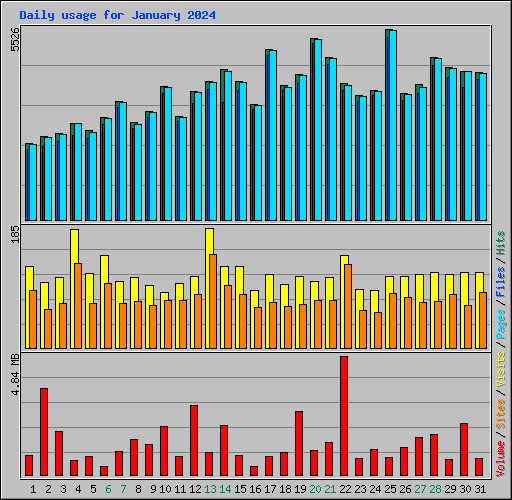 Daily usage for January 2024