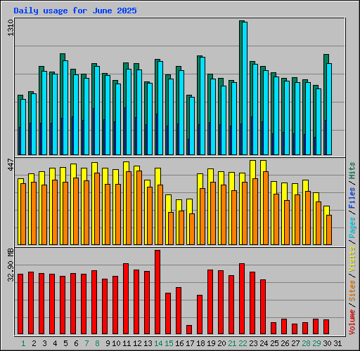Daily usage for June 2025