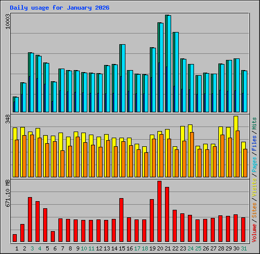 Daily usage for January 2026