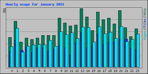 Hourly usage for January 2021