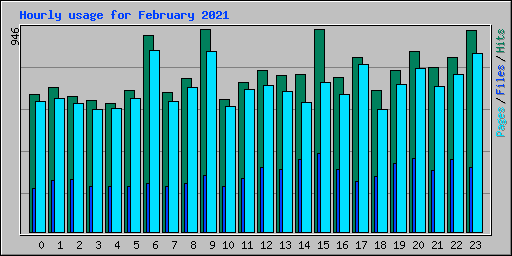 Hourly usage for February 2021