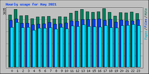 Hourly usage for May 2021