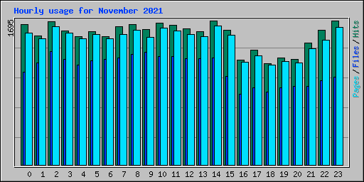 Hourly usage for November 2021