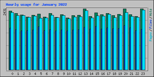 Hourly usage for January 2022