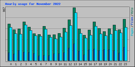 Hourly usage for November 2022
