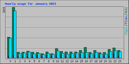 Hourly usage for January 2023