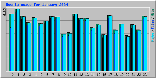 Hourly usage for January 2024