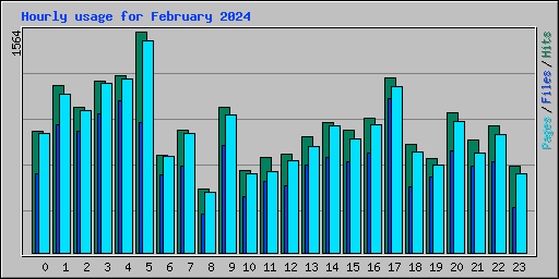 Hourly usage for February 2024