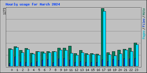 Hourly usage for March 2024