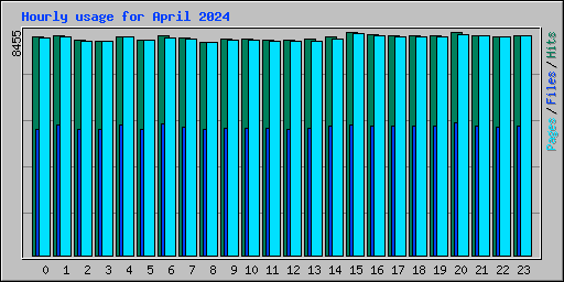 Hourly usage for April 2024