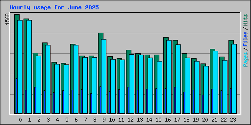 Hourly usage for June 2025