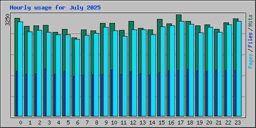 Hourly usage for July 2025