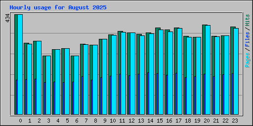Hourly usage for August 2025