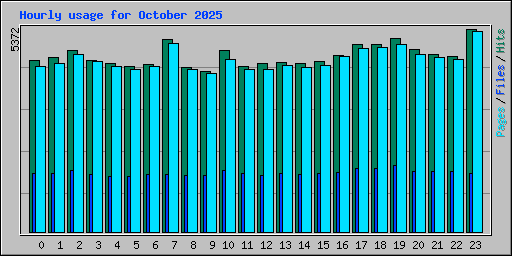 Hourly usage for October 2025
