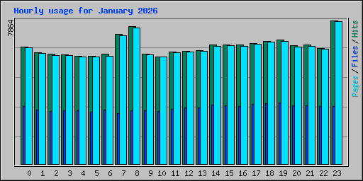 Hourly usage for January 2026