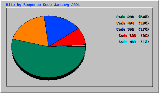 Hits by Response Code January 2021