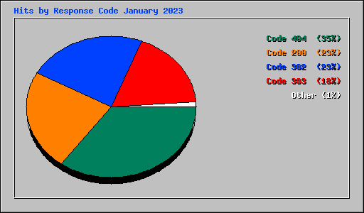 Hits by Response Code January 2023