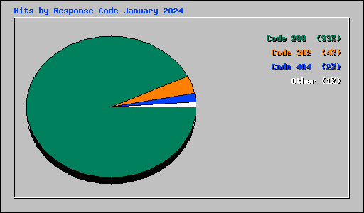 Hits by Response Code January 2024